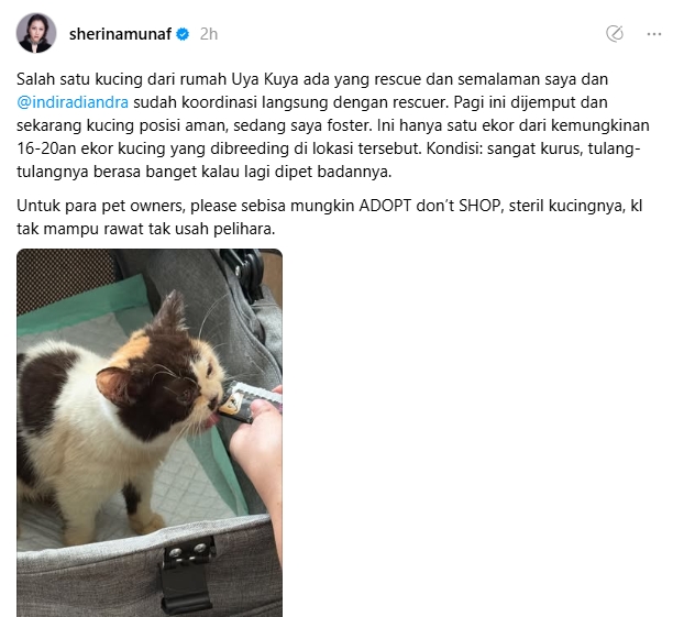 Sherina Rescue Kucing Uya Kuya-1